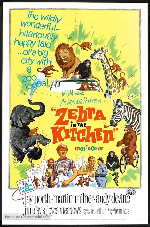 Zebra in the Kitchen - Movie Poster