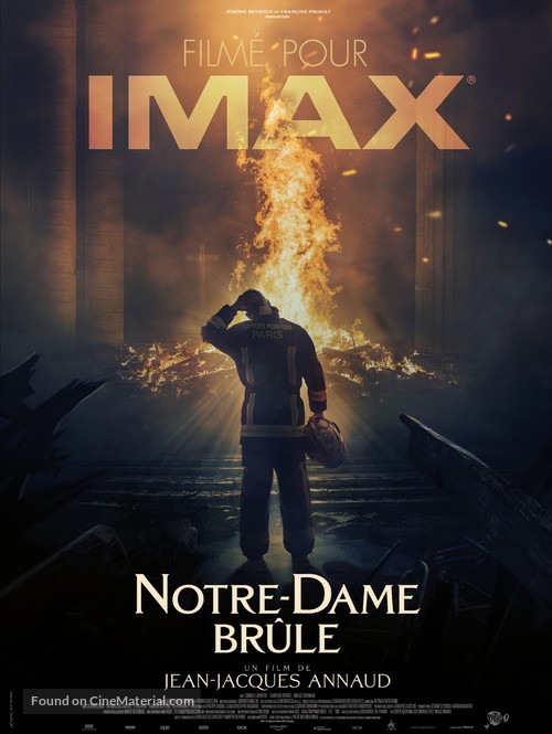 Notre-Dame br&ucirc;le - French Movie Poster