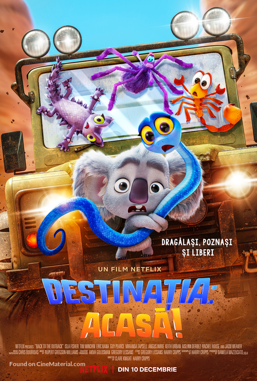 Back to the Outback - Romanian Movie Poster