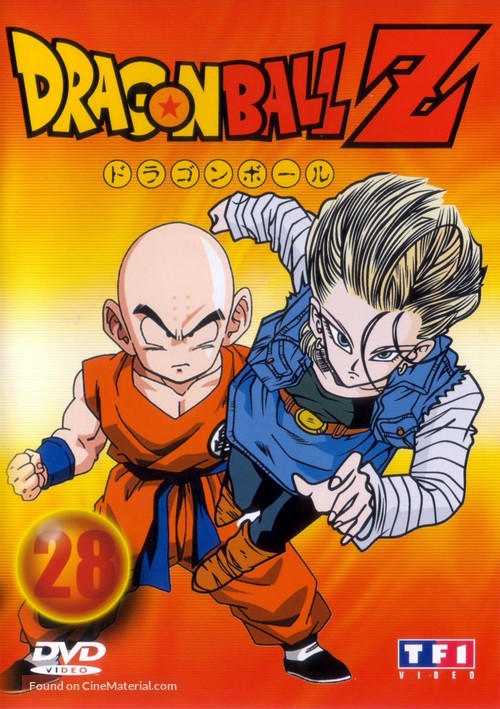 &quot;Dragon Ball Z&quot; - French DVD movie cover