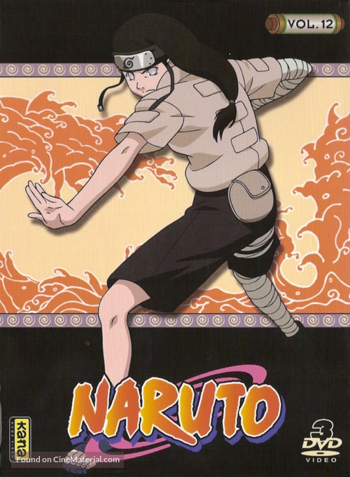 &quot;Naruto&quot; - French DVD movie cover