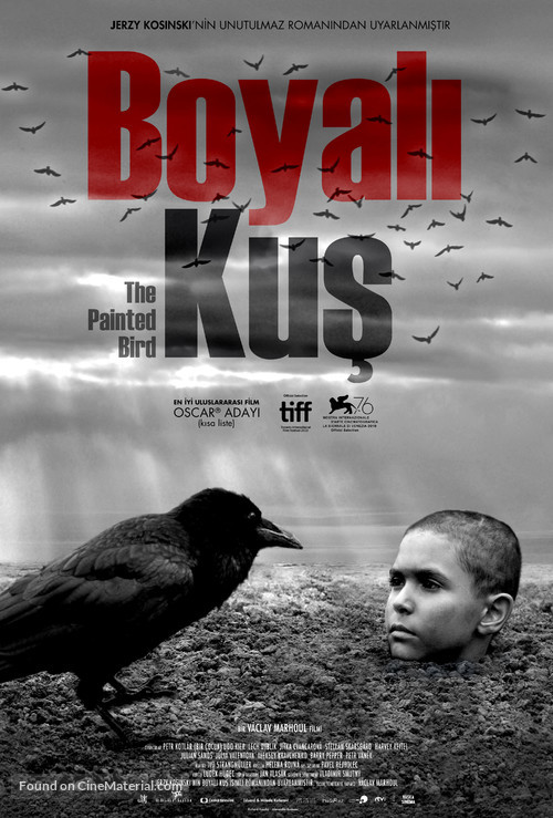 The Painted Bird - Turkish Movie Poster