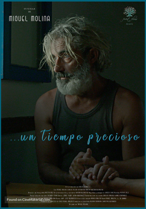 Un tiempo precioso - Spanish Movie Poster