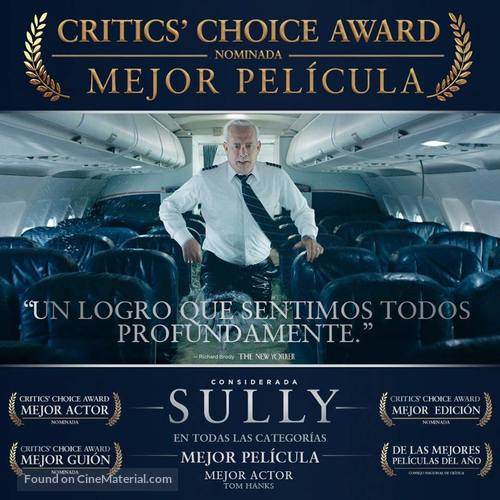 Sully - Argentinian Movie Poster