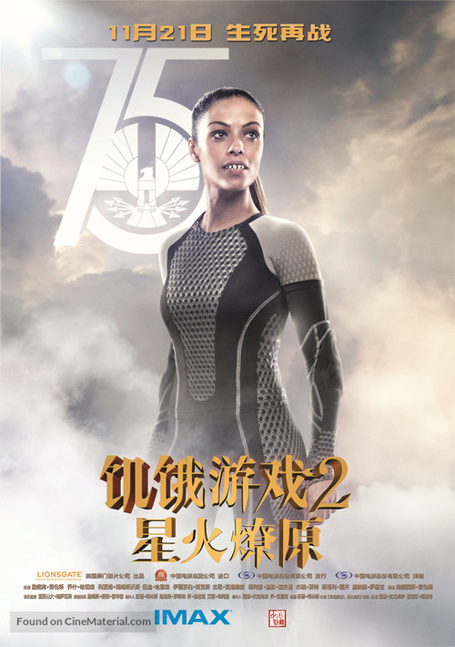 The Hunger Games: Catching Fire - Chinese Movie Poster