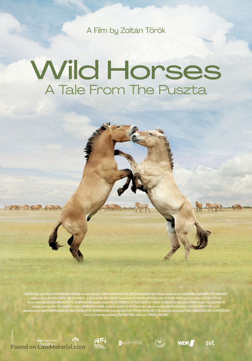 Wild Horses: A Tale from the Puszta - International Movie Poster