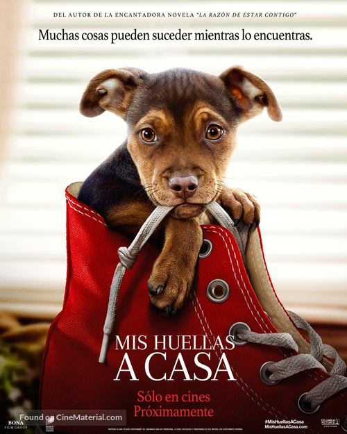 A Dog&#039;s Way Home - Argentinian Movie Poster