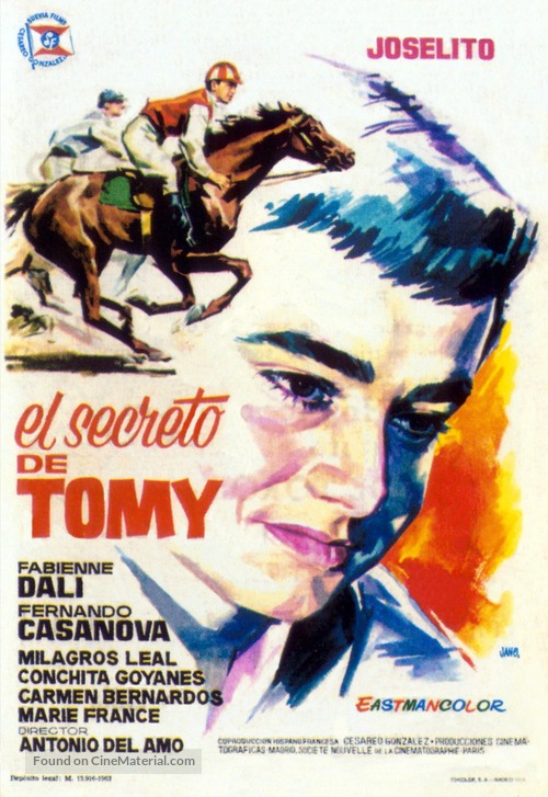 El secreto de Tomy - Spanish Movie Poster