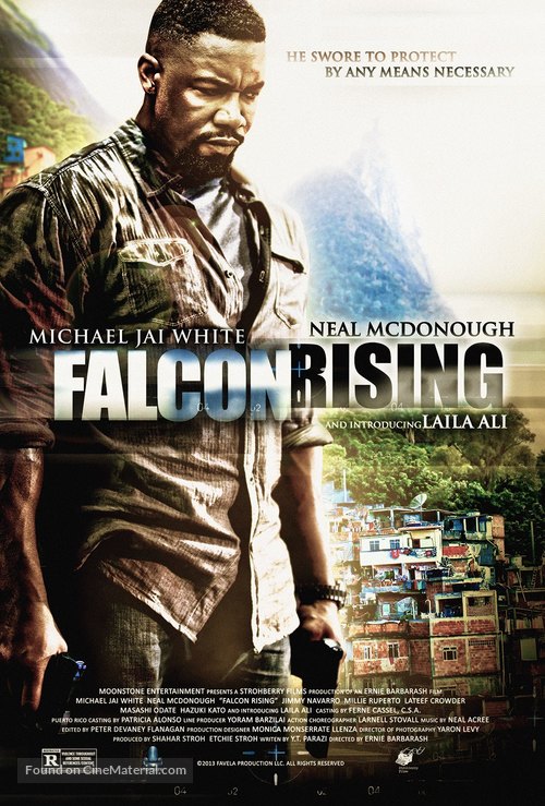 Falcon Rising - Movie Poster