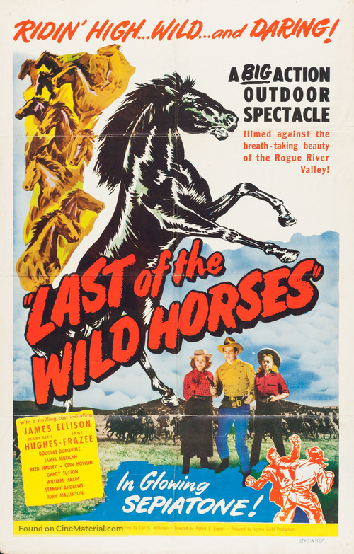 Last of the Wild Horses - Movie Poster