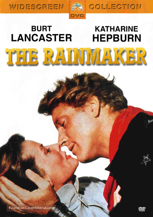 The Rainmaker - DVD movie cover