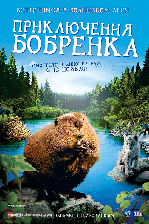 M&egrave;che Blanche, les aventures du petit castor - Russian Movie Poster