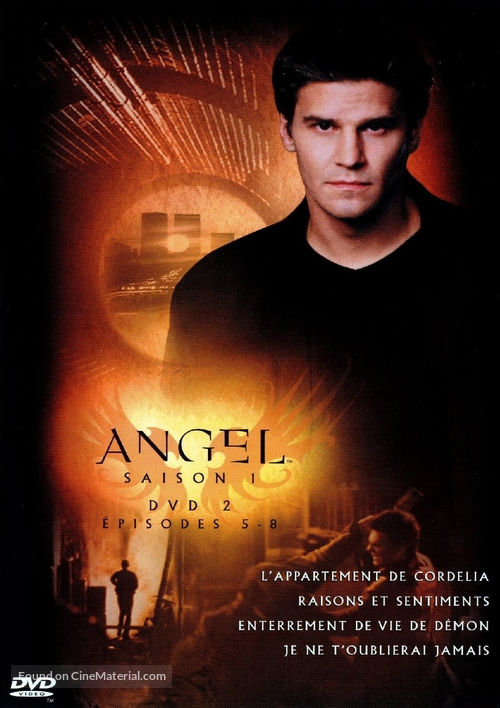 &quot;Angel&quot; - French DVD movie cover