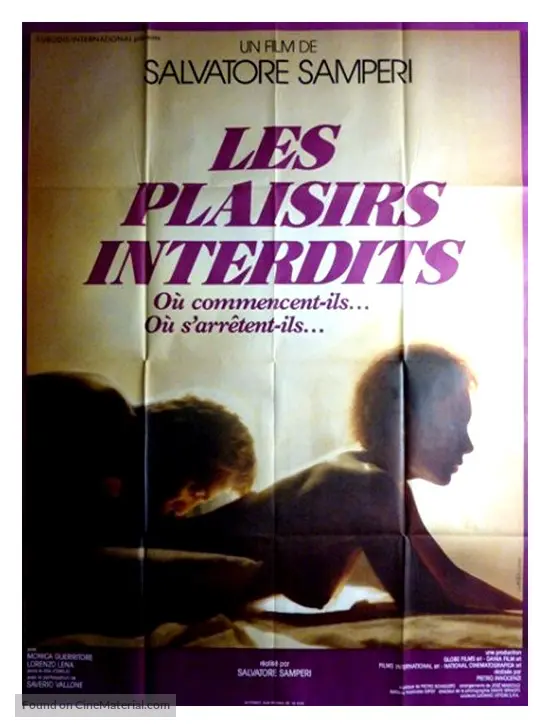 Fotografando Patrizia (1984) French movie poster Fotografando Patrizia (1984) French movie poster
