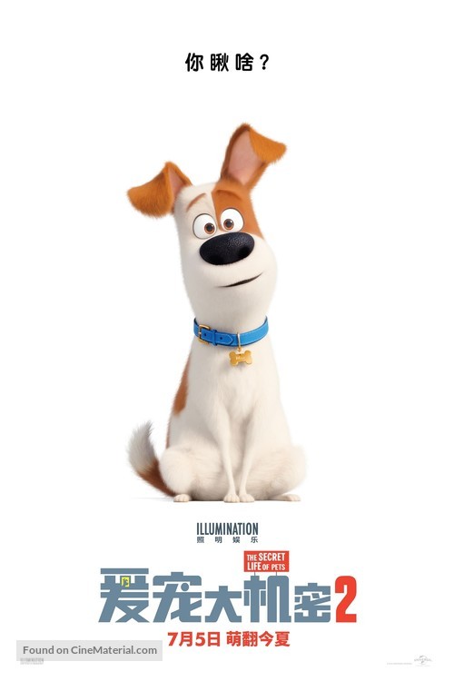 The Secret Life of Pets 2 - Chinese Movie Poster