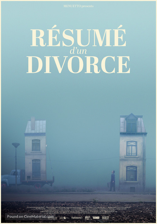 R&eacute;sum&eacute; d&#039;un divorce - Belgian Movie Poster