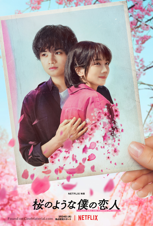 My Dearest, Like a Cherry Blossom - Japanese Movie Poster