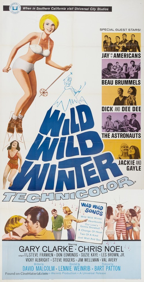 Wild Wild Winter - Movie Poster