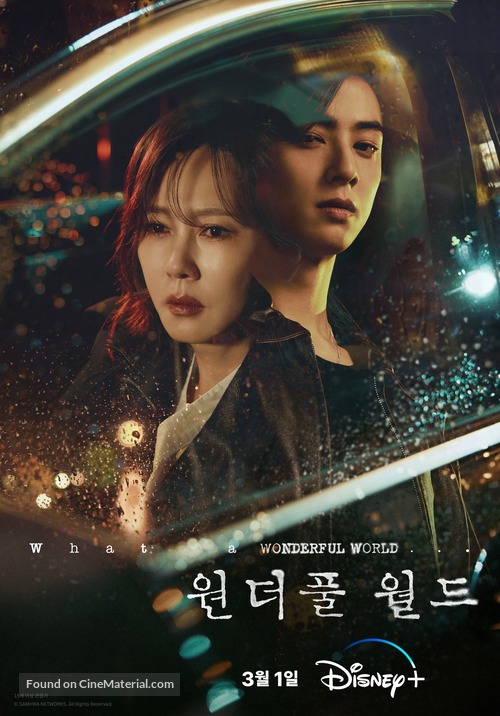 &quot;Wonderful World&quot; - South Korean Movie Poster