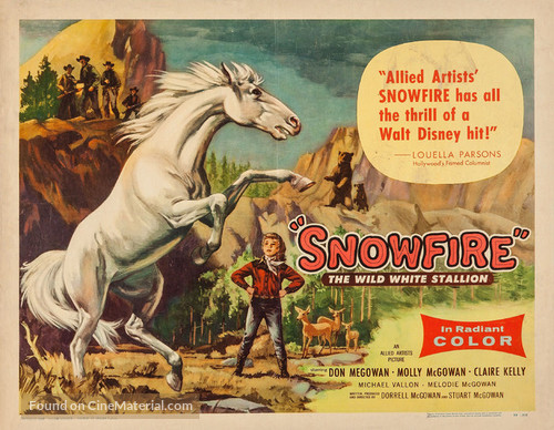 Snowfire - Movie Poster