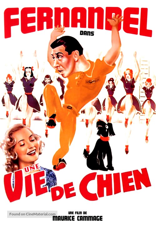 Une vie de chien - French DVD movie cover