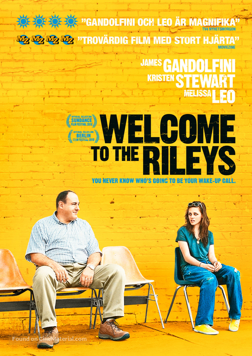 Welcome to the Rileys - Swedish DVD movie cover