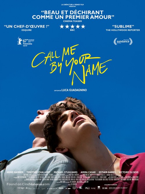 Call Me by Your Name - French Movie Poster