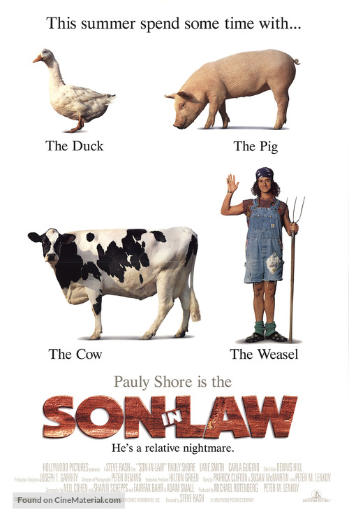 Son in Law - Movie Poster