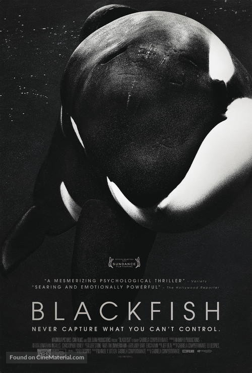 Blackfish - Movie Poster