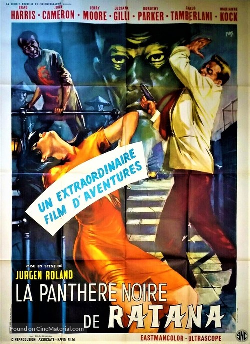 Der schwarze Panther von Ratana - French Movie Poster