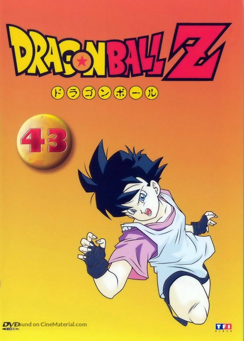 &quot;Dragon Ball Z&quot; - French DVD movie cover