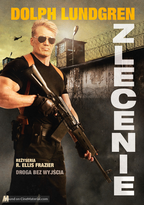 Larceny - Polish Movie Cover