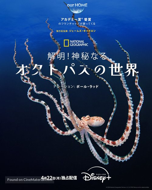 Secrets of the Octopus - Japanese Movie Poster