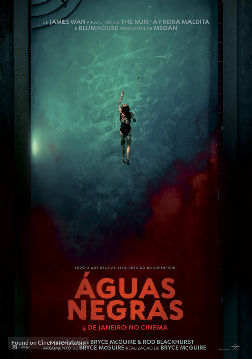 Night Swim - Portuguese Movie Poster