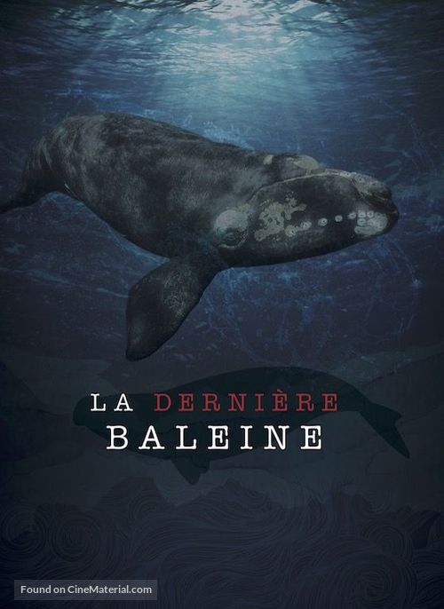 Le dernier chant de la baleine - Canadian Movie Poster