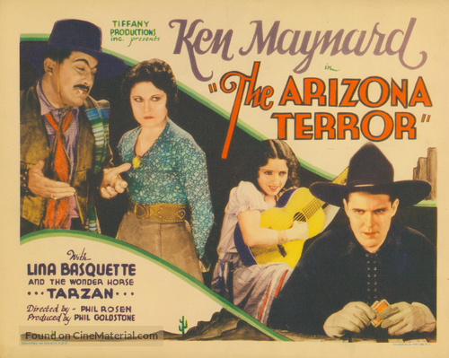 Arizona Terror - Movie Poster