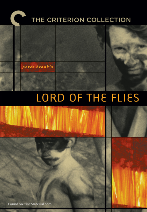 Lord of the Flies - DVD movie cover