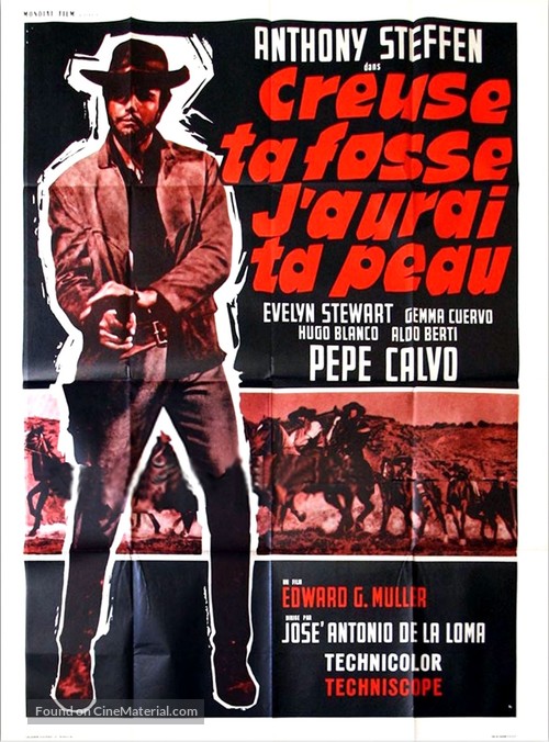 Perch&eacute; uccidi ancora - French Movie Poster