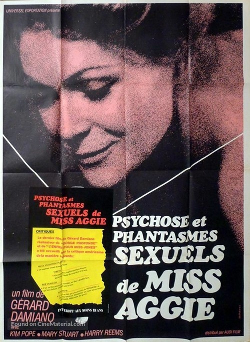 Memories Within Miss Aggie - French Movie Poster