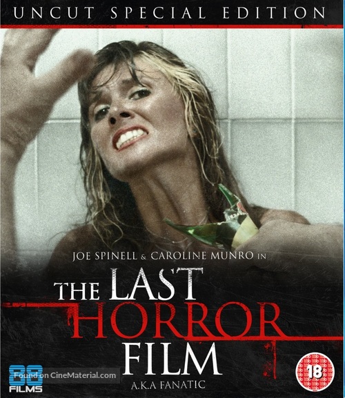 The Last Horror Film - British Movie Cover