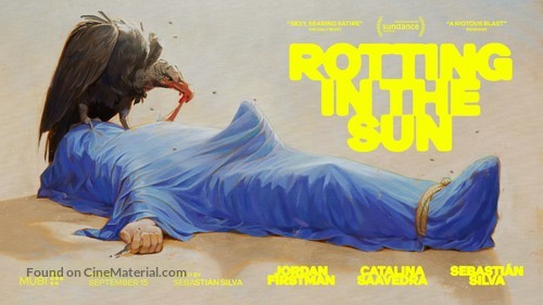 Rotting in the Sun - British Movie Poster