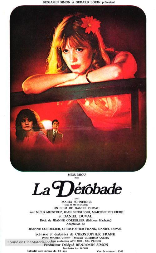 La d&egrave;robade - French Movie Poster