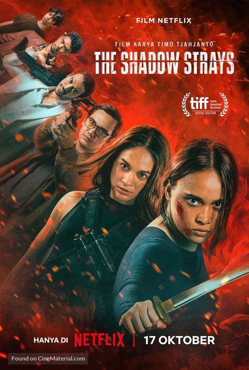 The Shadow Strays - Indonesian Movie Poster