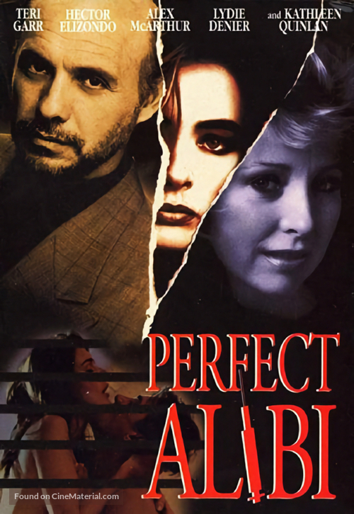 Perfect Alibi - Movie Poster