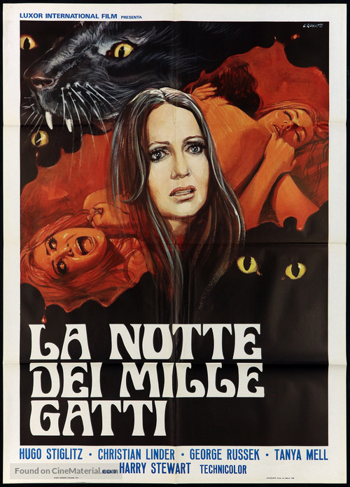 La noche de los mil gatos - Italian Movie Poster