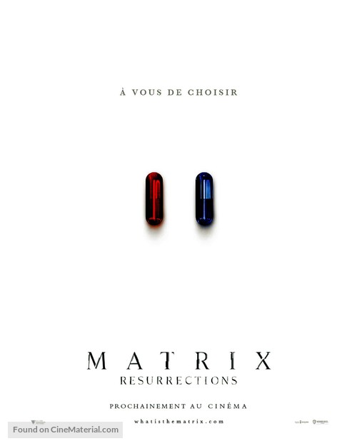 The Matrix Resurrections - French Movie Poster