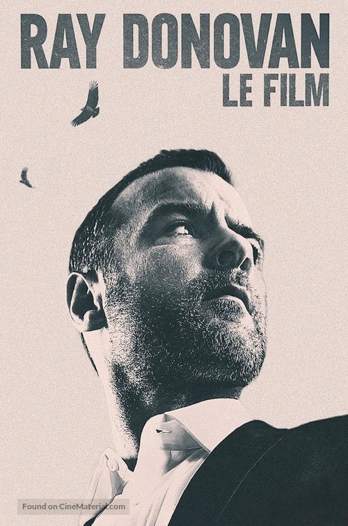 Ray Donovan: The Movie - French DVD movie cover