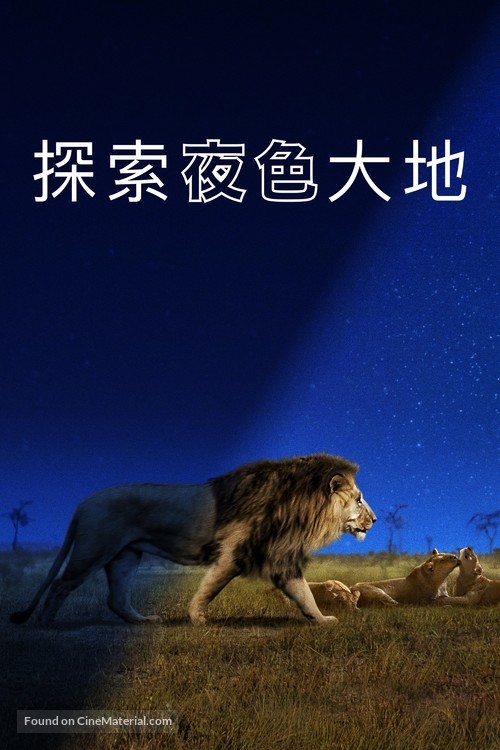 &quot;Earth at Night in Color&quot; - Chinese Movie Cover