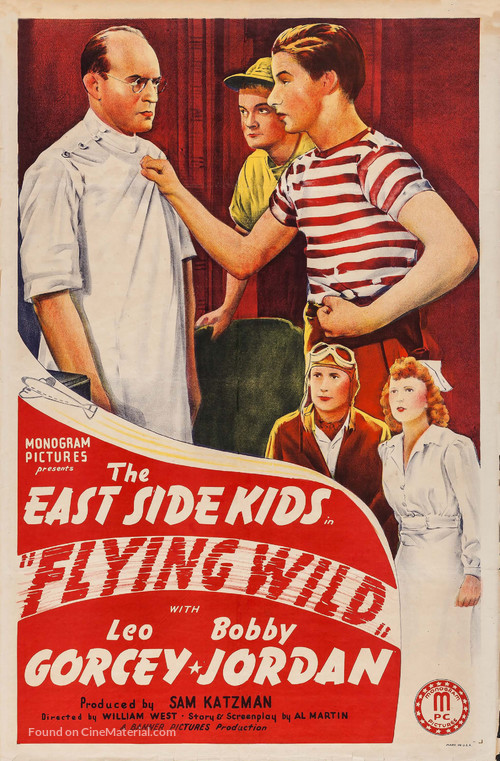 Flying Wild - Movie Poster