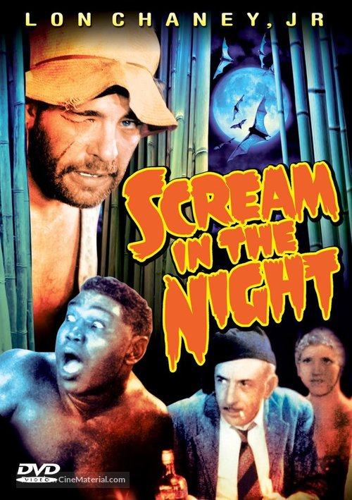 A Scream in the Night - DVD movie cover